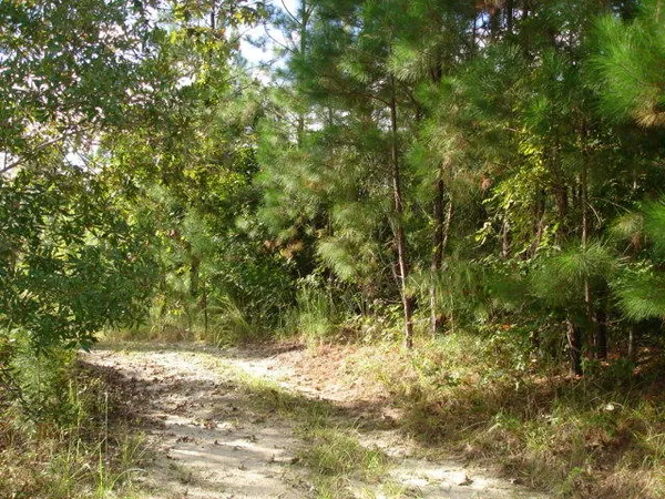 $95,000 | 6 Parkers Ferry Road, Adams Run, SC 29426