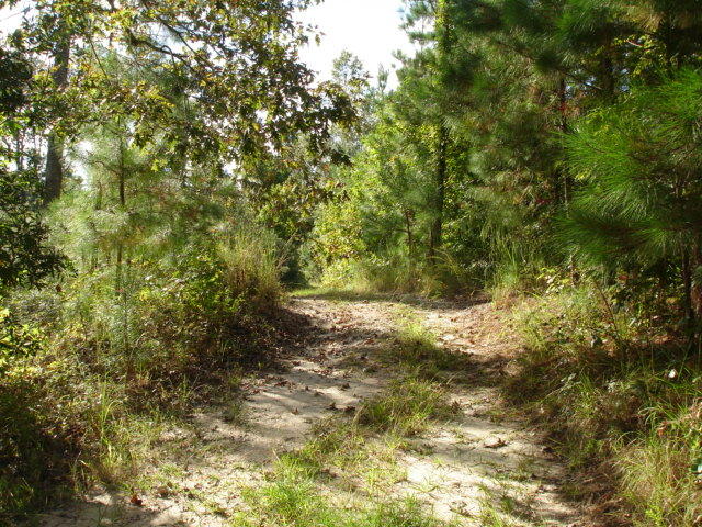 6 Parkers Ferry Road Adams Run, SC 29426 - Photo 4 of 5 Road access