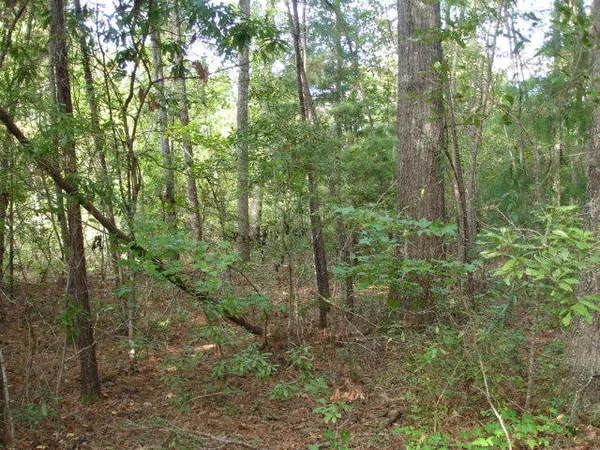 $95,000 | 6 Parkers Ferry Road, Adams Run, SC 29426