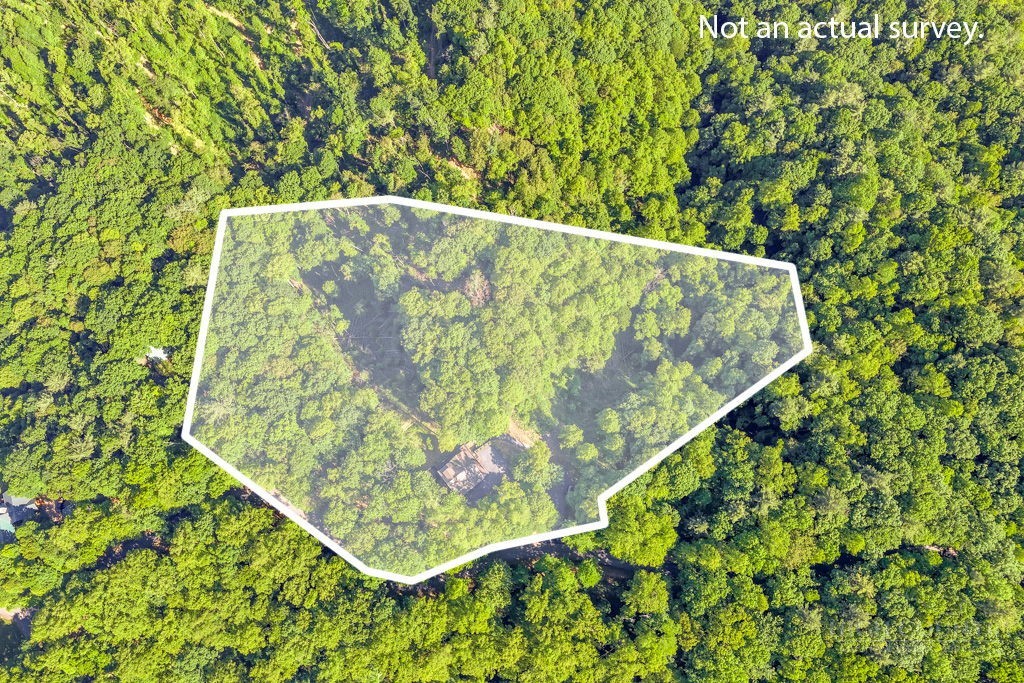 2229 Elk Ridge Road Ferguson, NC 28624 - Photo 7 of 42 a view of a garden