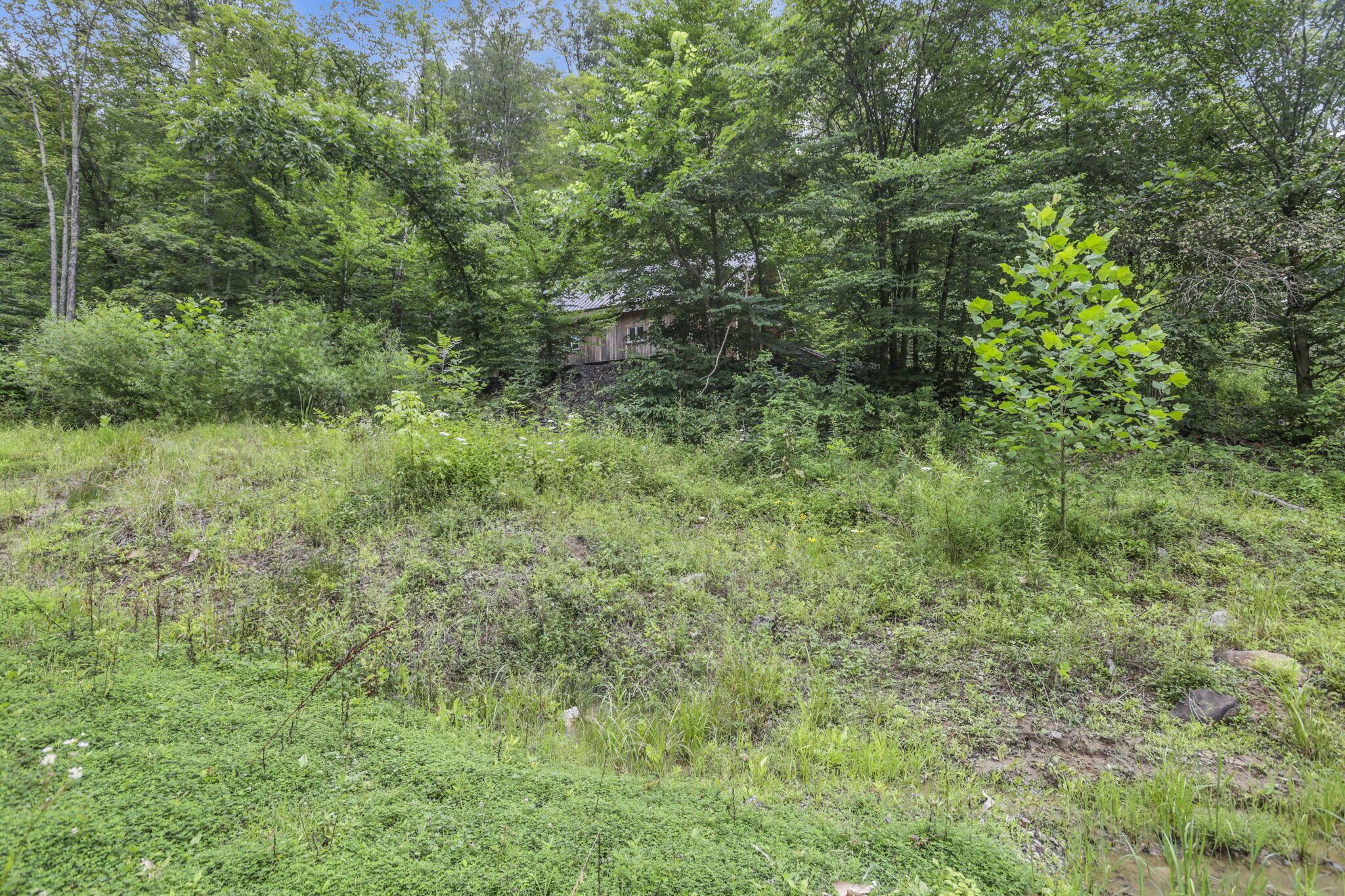 0 Greens Run Road Glouster, OH 45732 - Photo 102 of 121 102-web-or-mls-LO5A2072
