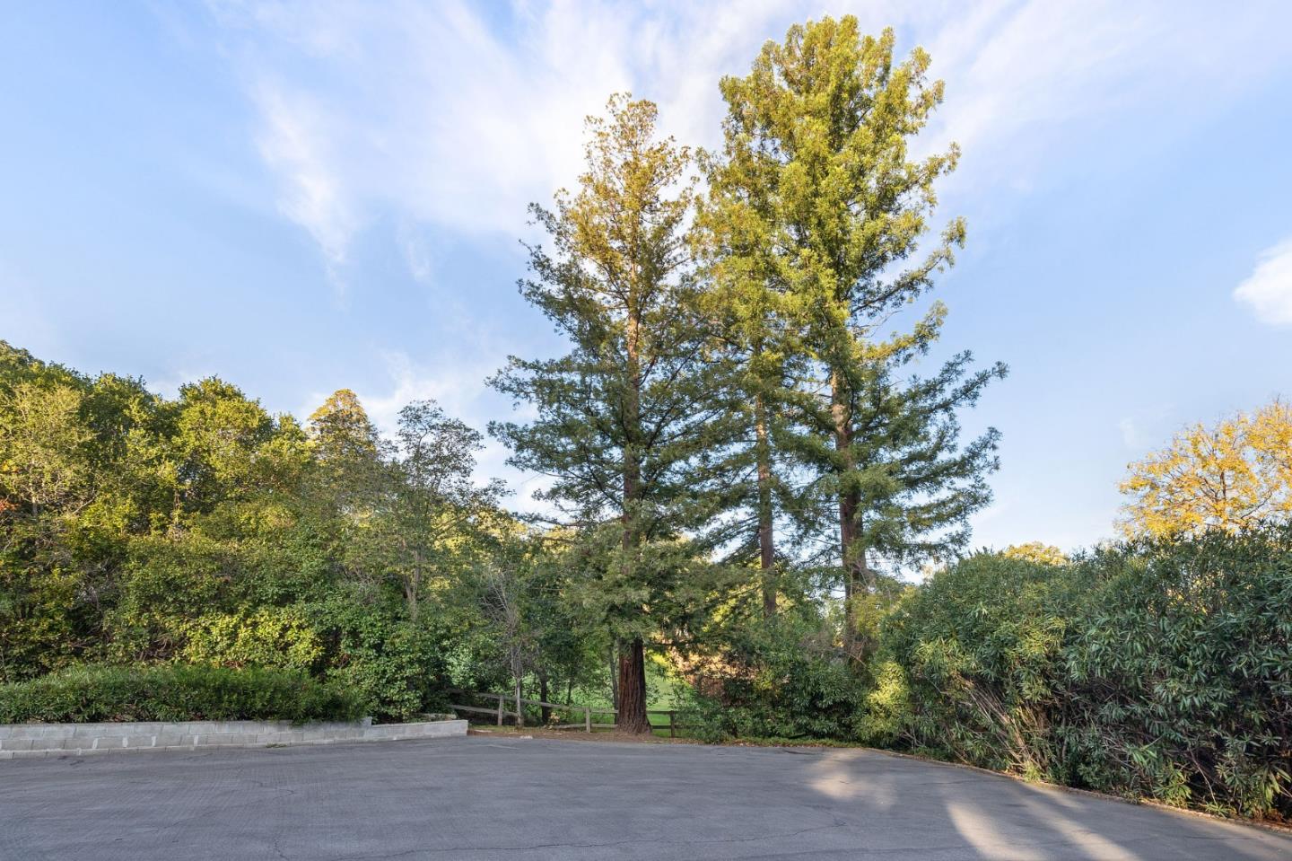 16 Valley Road Atherton, CA 94027 - Photo 74 of 100 a backyard of a house