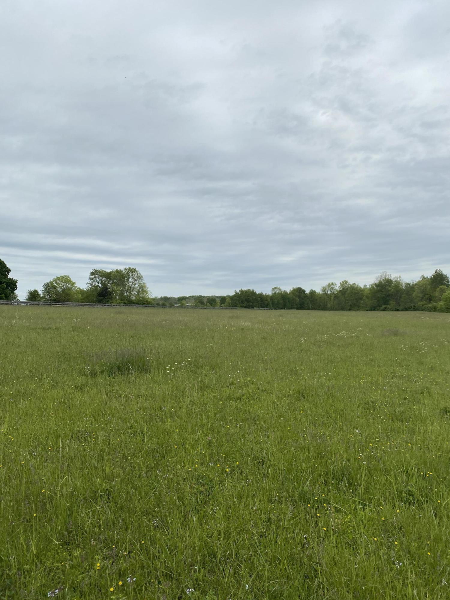 1 Sebree Road Stamping Ground, KY 40379 - Photo 4 of 4 IMG_1611