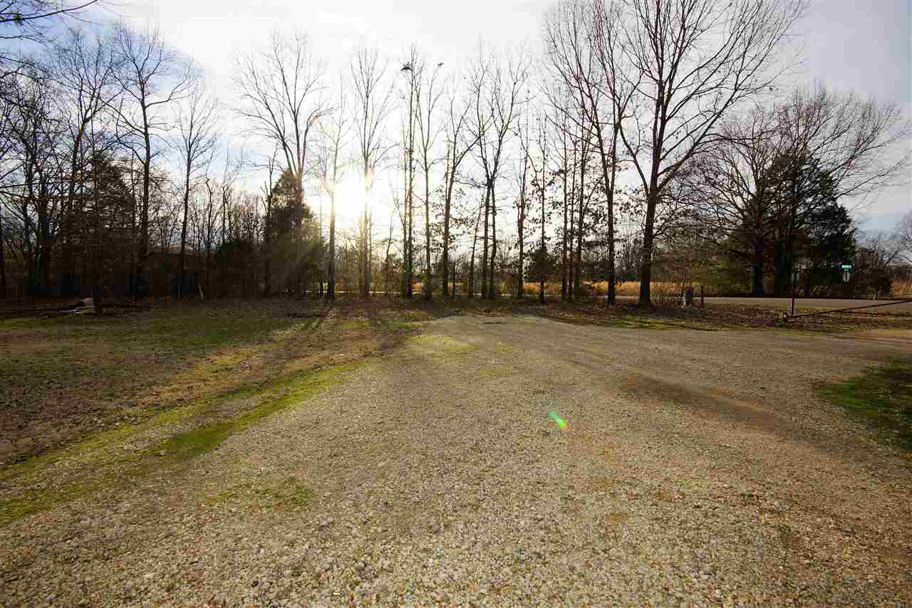 555 Mosby Road Oakland, TN 38060 - Photo 4 of 21 Gallery Image 4
