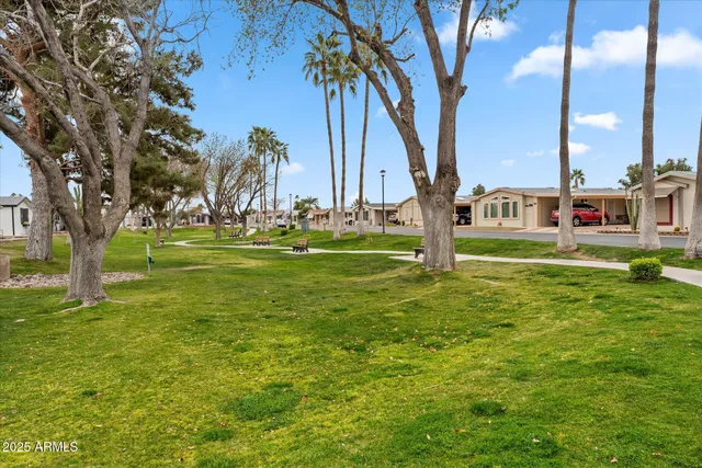 a view of a park with large trees