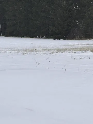 $65,000 | 16068 County Road 56, Nashwauk, MN 55769