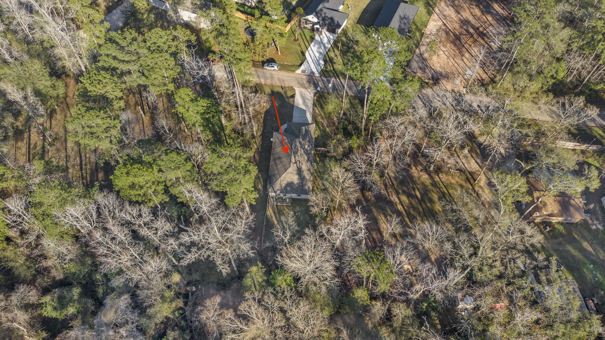 15120 Arrowhead Loop East Willis, TX 77378 - Photo 20 of 22 a close up of a plant in a garden