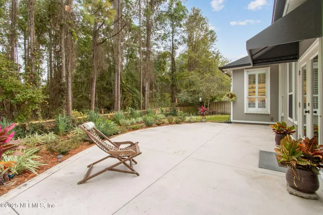 a view of a garden with plants and large trees