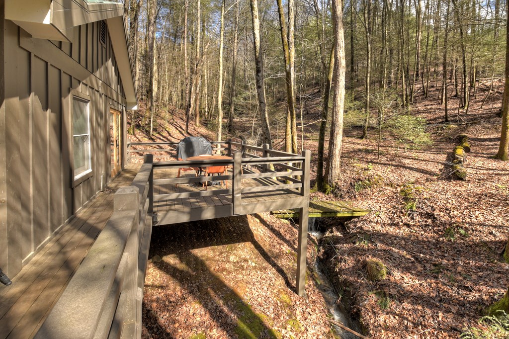 706 Laurel Ridge Drive Blue Ridge, GA 30513 - Photo 24 of 93 Gallery Image 24