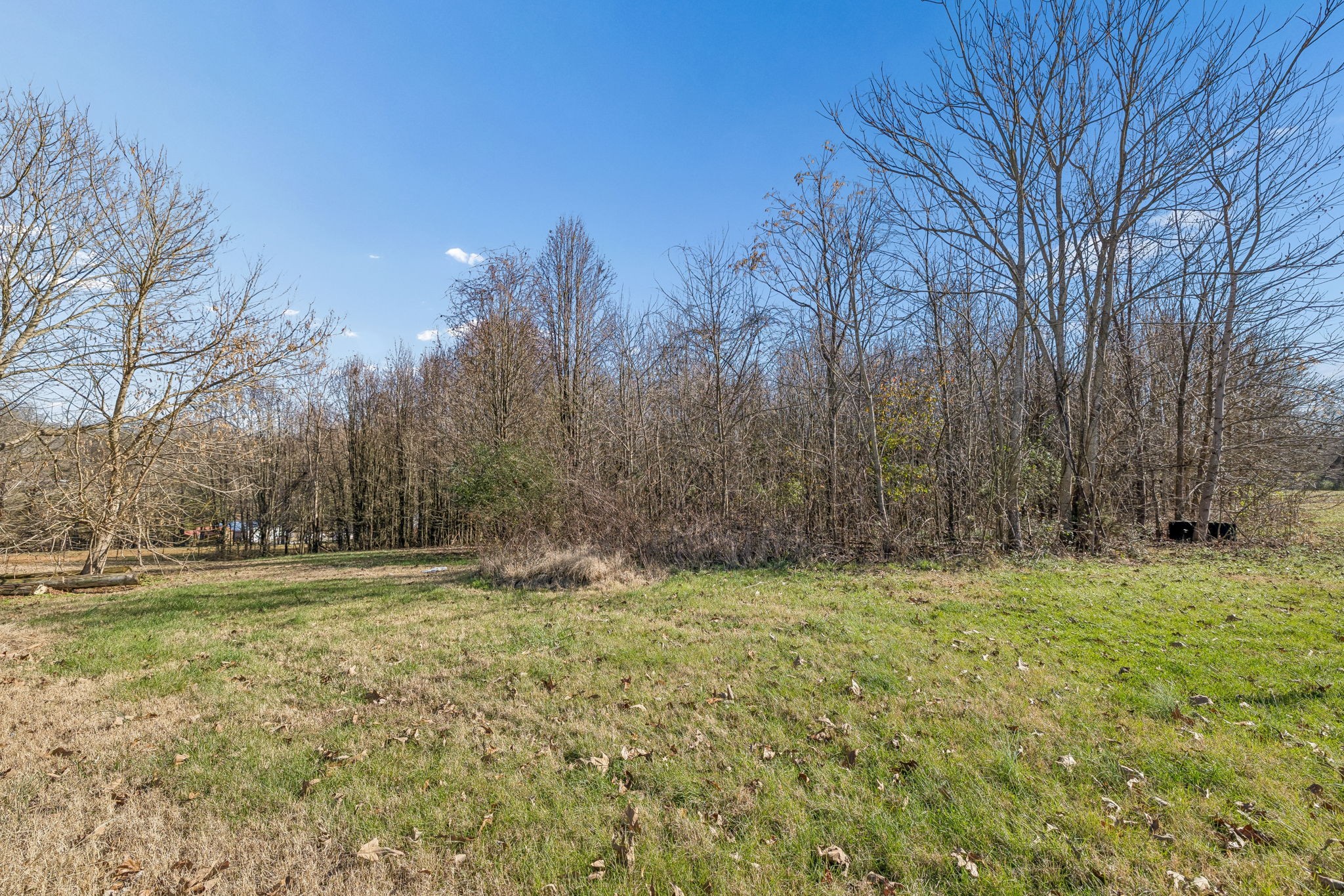 1733 Belotes Ferry Road Lebanon, TN 37087 - Photo 10 of 48