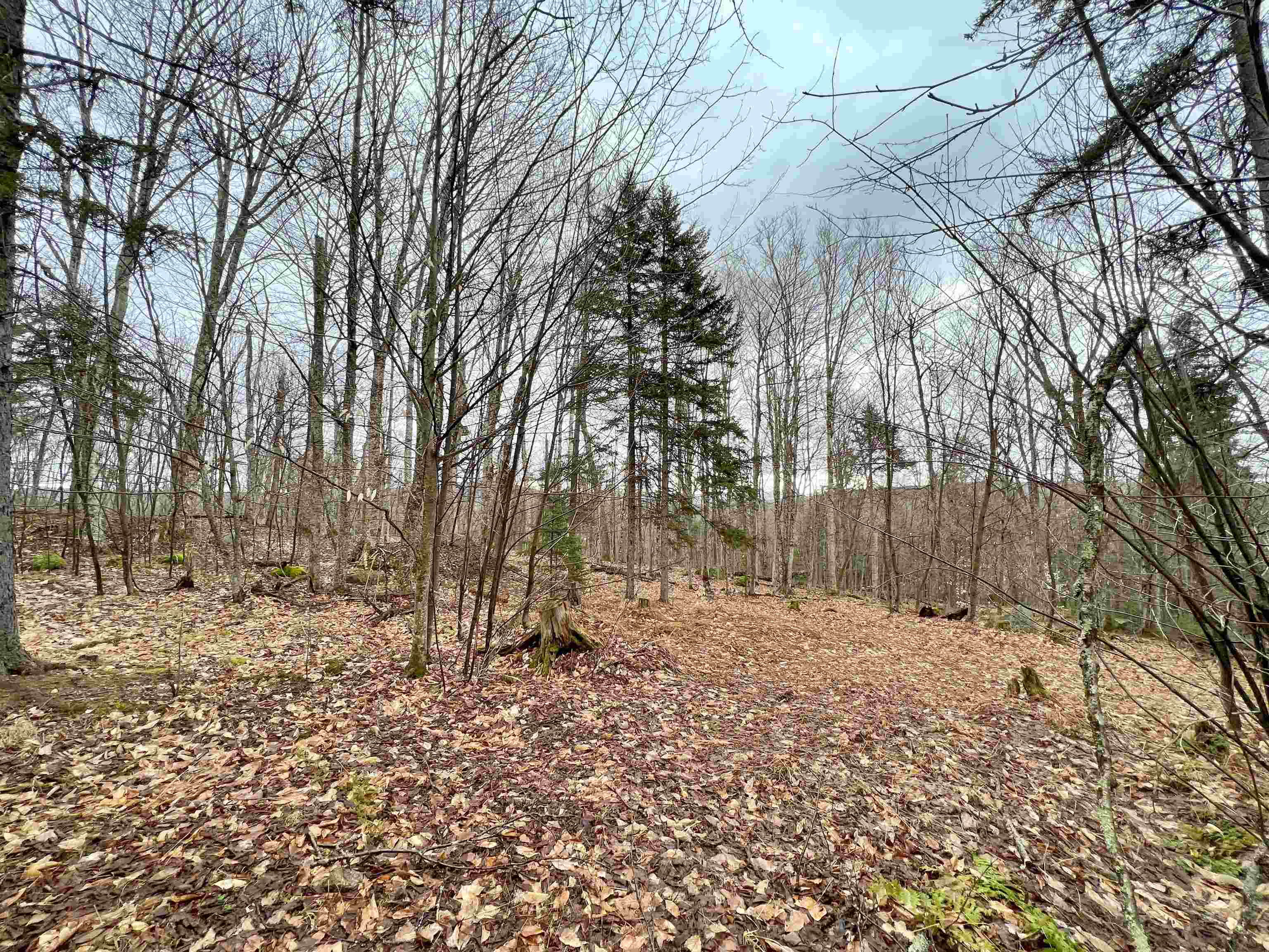 - Old Quarry Road, Unit 14 & 15 West Charleston, VT 05872 - Photo 14 of 34
