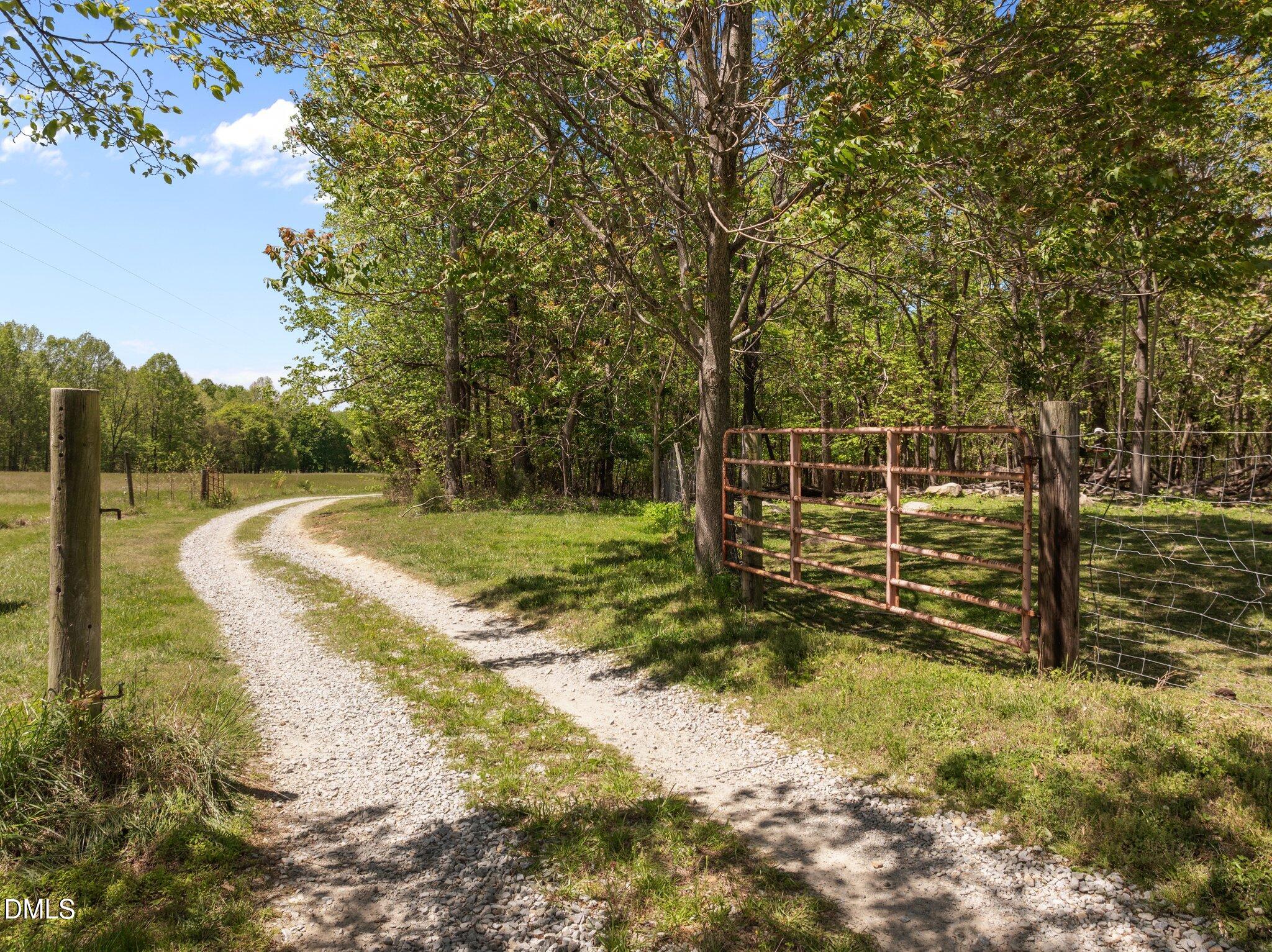 9400 Wheelers Church Road Cedar Grove, NC 27231 - Photo 48 of 96 a view of a yard with an trees