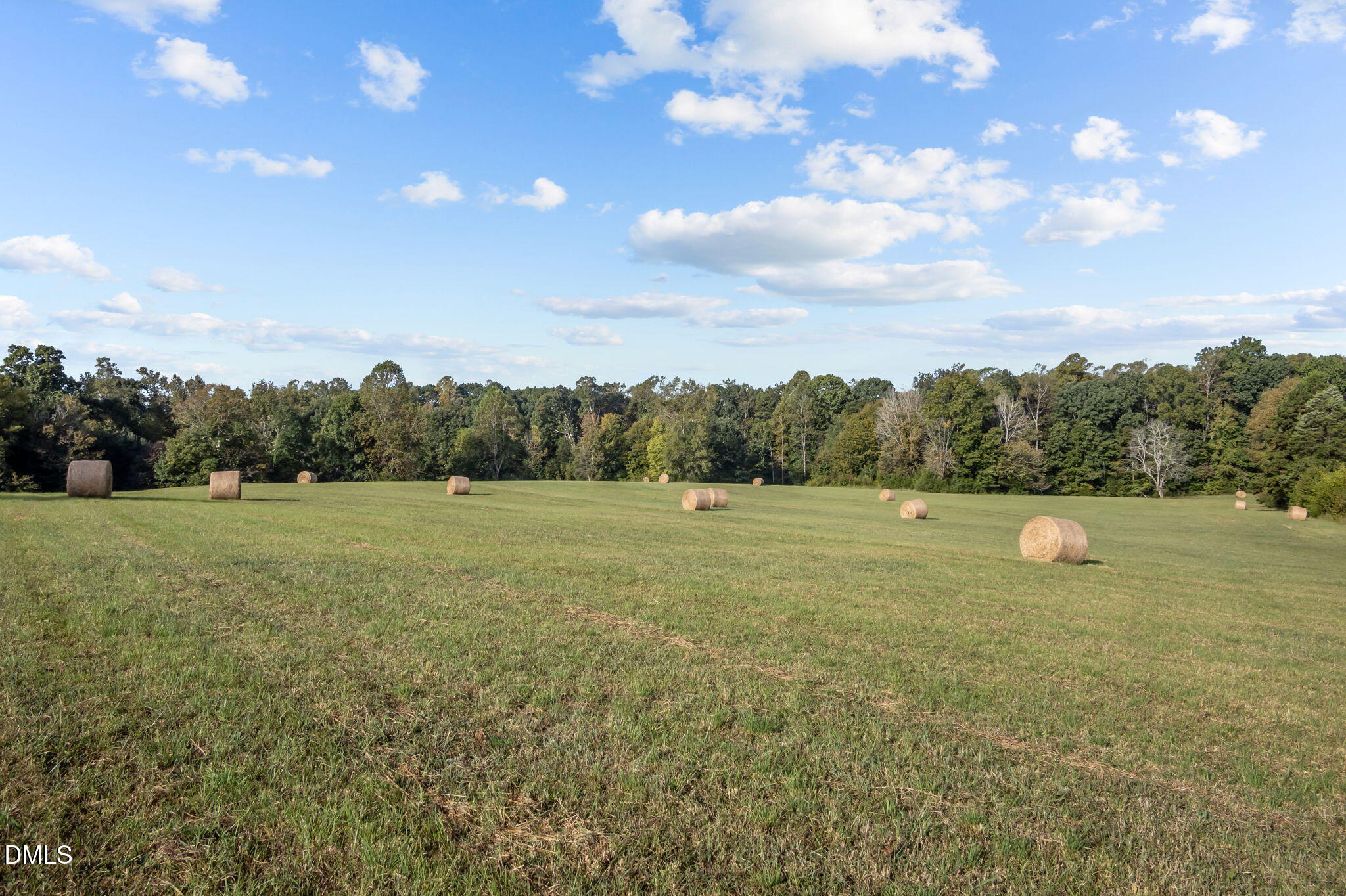 9400 Wheelers Church Road Cedar Grove, NC 27231 - Photo 81 of 96 15-web-or-mls-P1086494