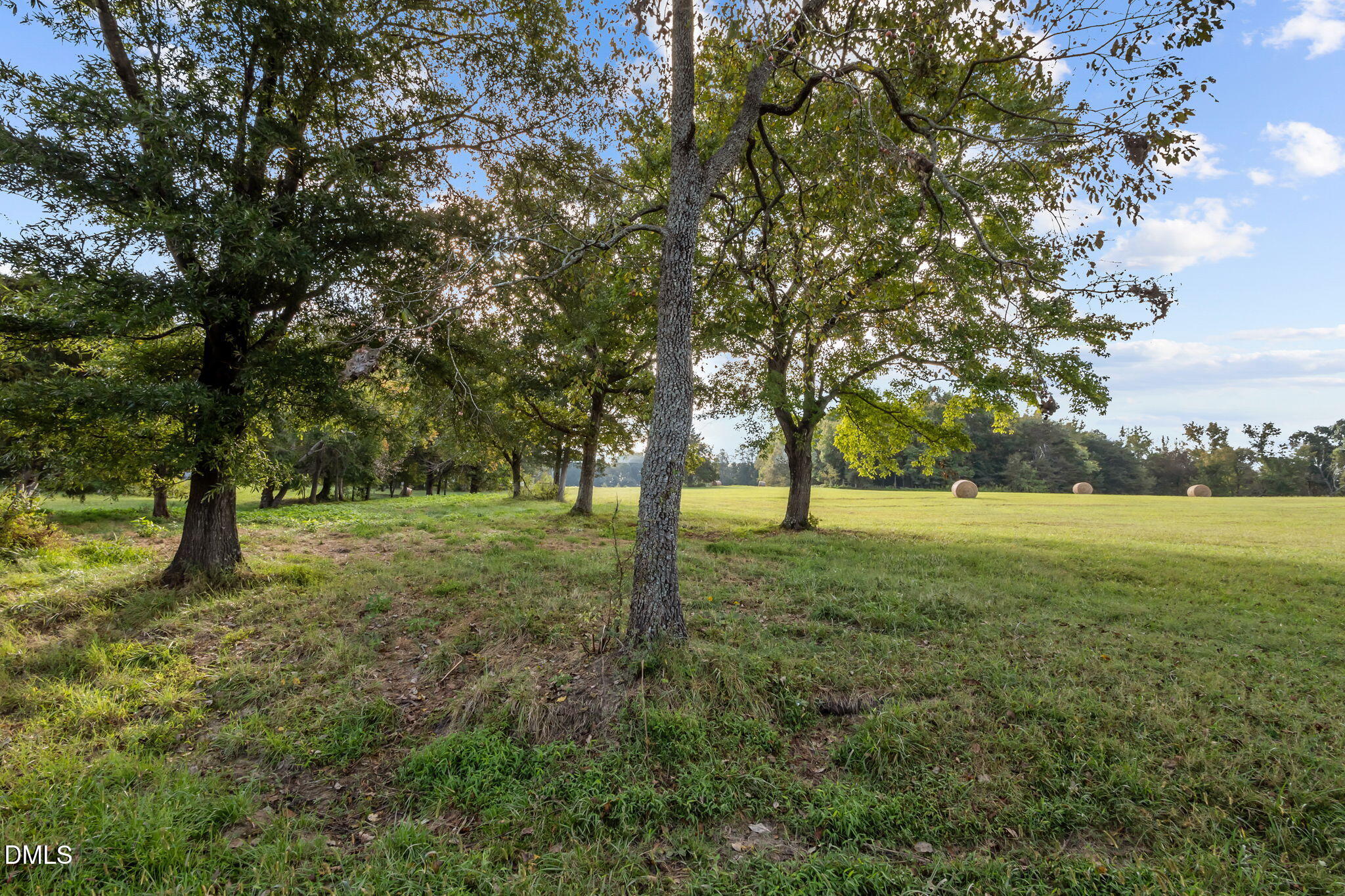 9400 Wheelers Church Road Cedar Grove, NC 27231 - Photo 84 of 96 a view of outdoor space with trees