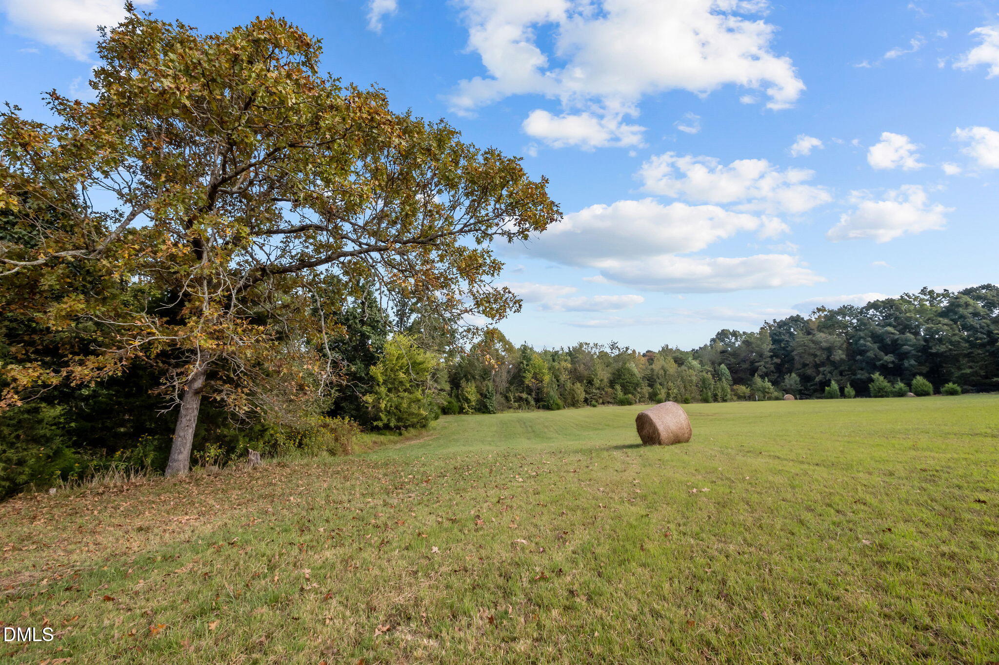 9400 Wheelers Church Road Cedar Grove, NC 27231 - Photo 86 of 96 a view of outdoor space and yard