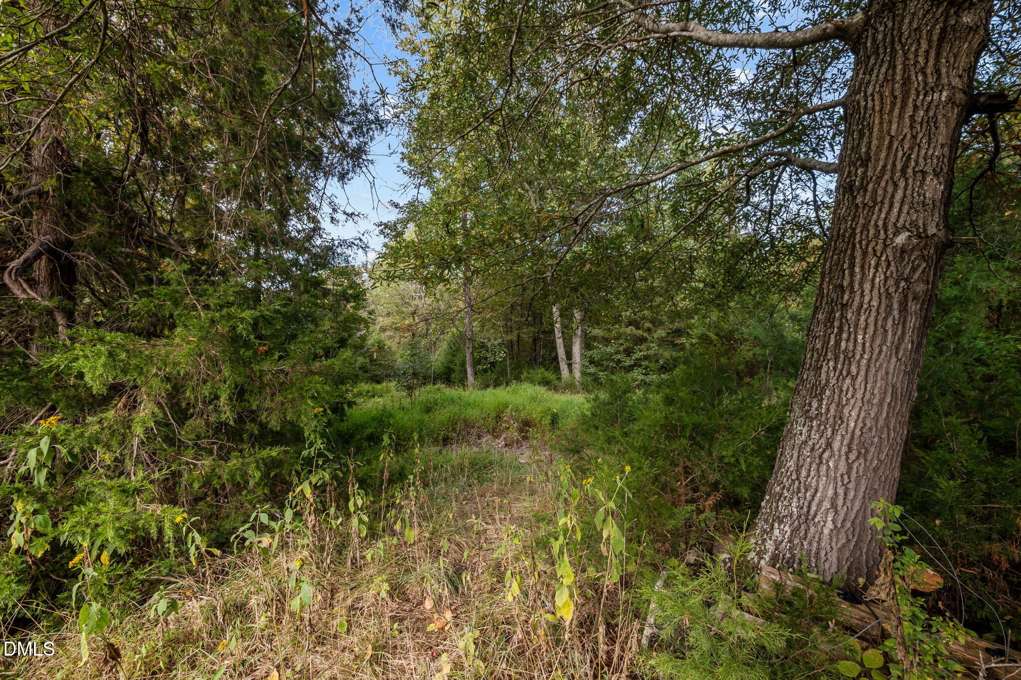 9400 Wheelers Church Road Cedar Grove, NC 27231 - Photo 88 of 96 22-web-or-mls-P1086505