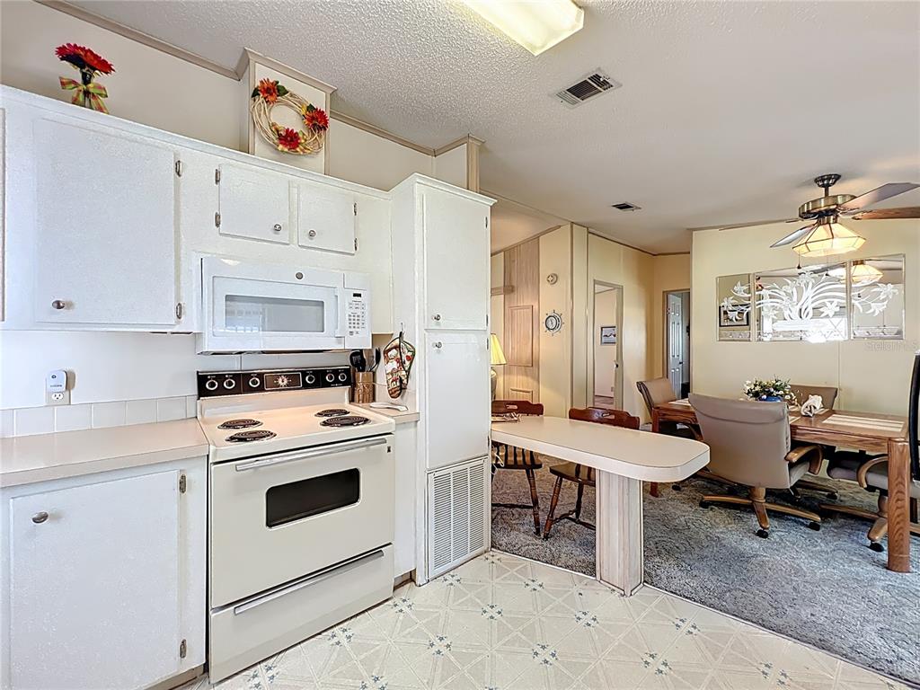 25125 Bellevue Leesburg, FL 34748 - Photo 15 of 44