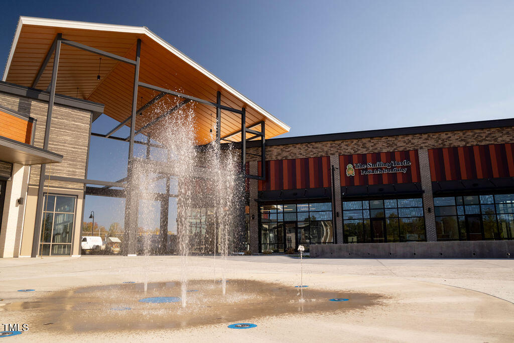 1144 Cottonsprings Drive Wendell, NC 27591 - Photo 47 of 47 Treelight Square (2)