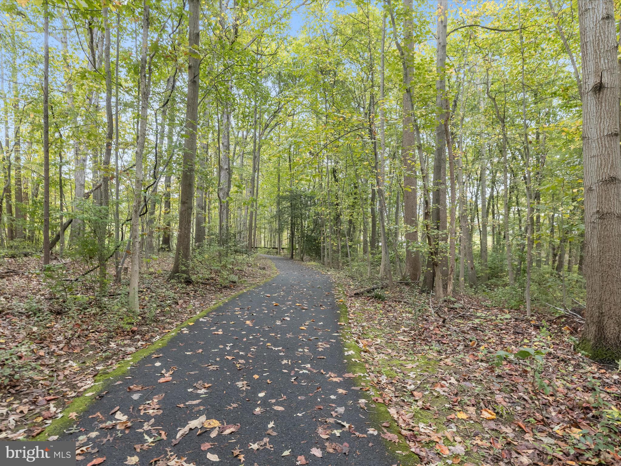 7501 Hillmeade Road Bowie, MD 20720 - Photo 47 of 55 Community hiking trails