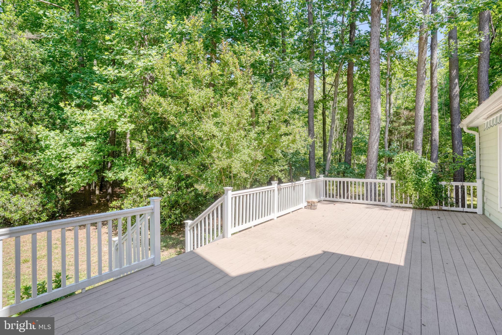 20064 Shingle Point Road Georgetown, DE 19947 - Photo 35 of 77 Back Deck overlooking the private treed back yard