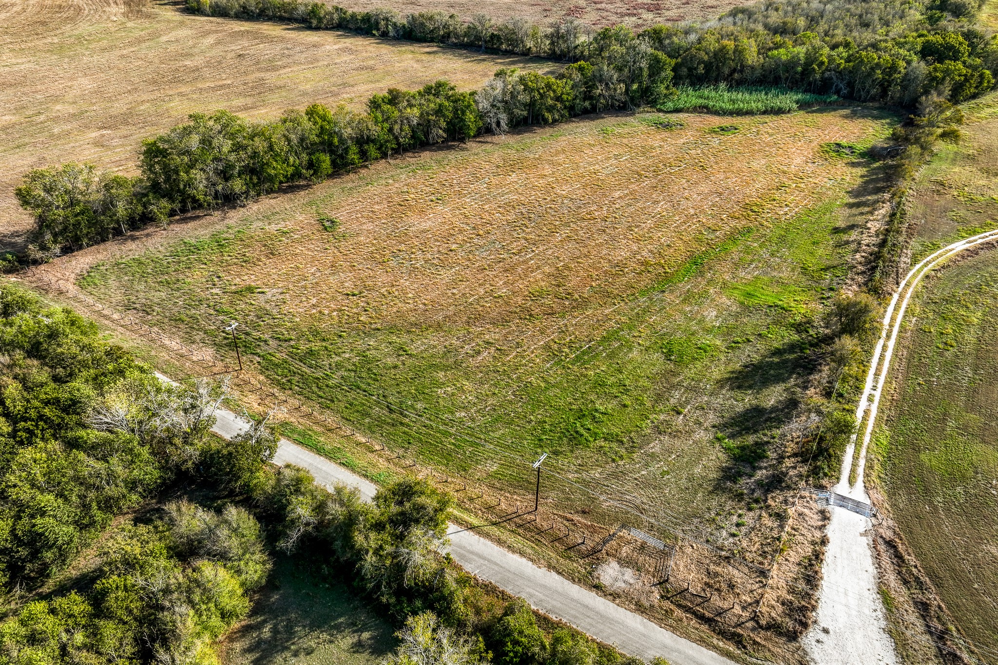 Lot 1 Sandy Hill Road Brenham, TX 77833 - Photo 12 of 17 a view of a yard with plants and large trees