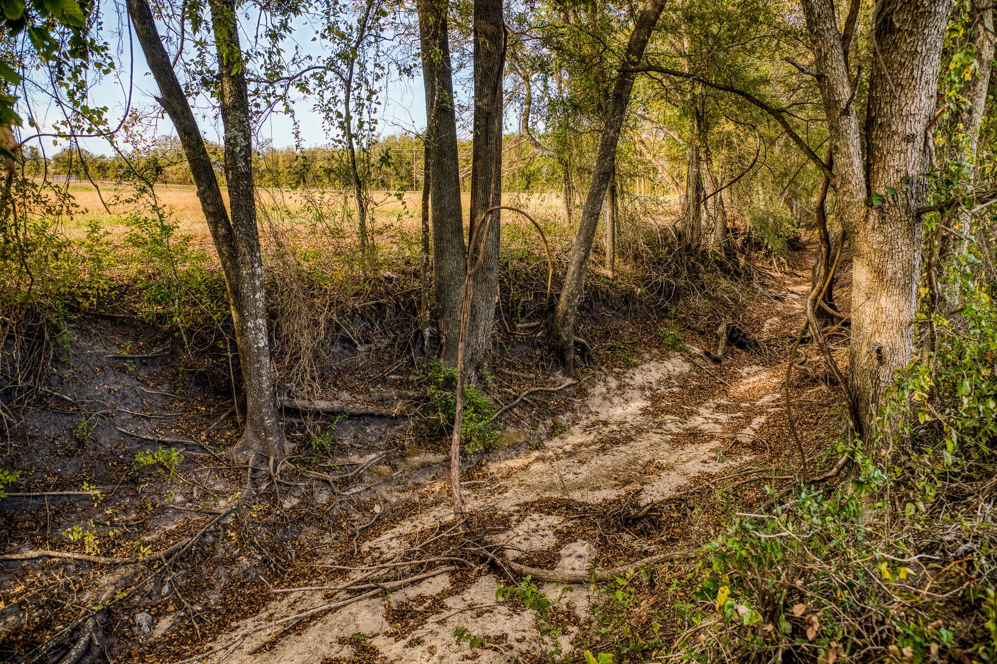 Lot 1 Sandy Hill Road Brenham, TX 77833 - Photo 2 of 17 a view of a yard with trees