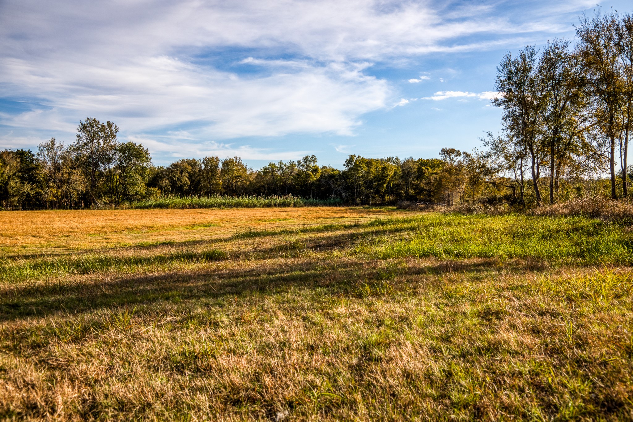 Lot 1 Sandy Hill Road Brenham, TX 77833 - Photo 4 of 17 a view of an ocean and beach