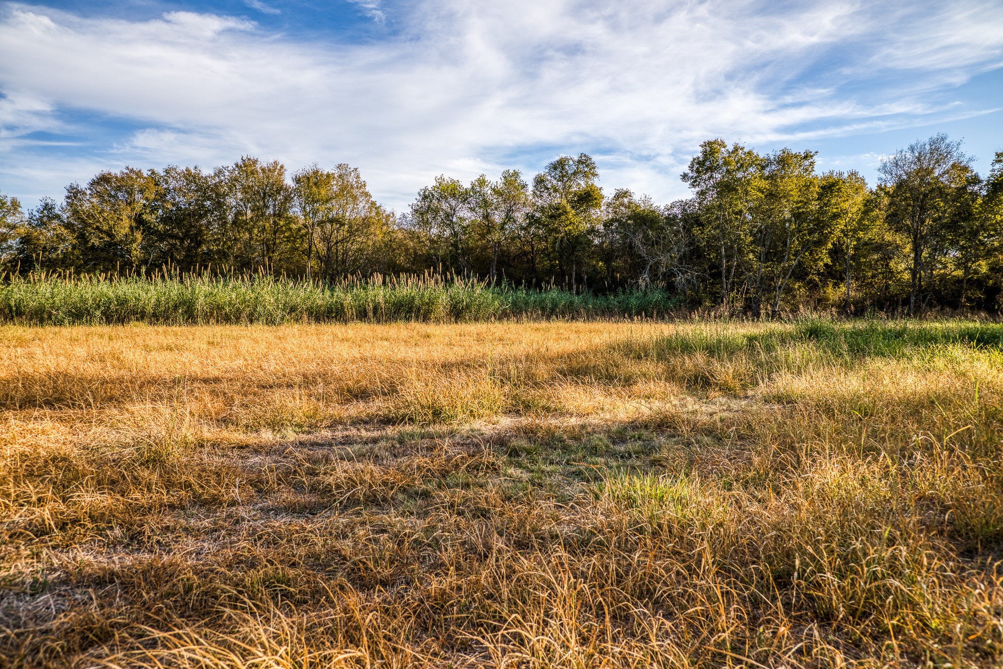Lot 1 Sandy Hill Road Brenham, TX 77833 - Photo 8 of 17