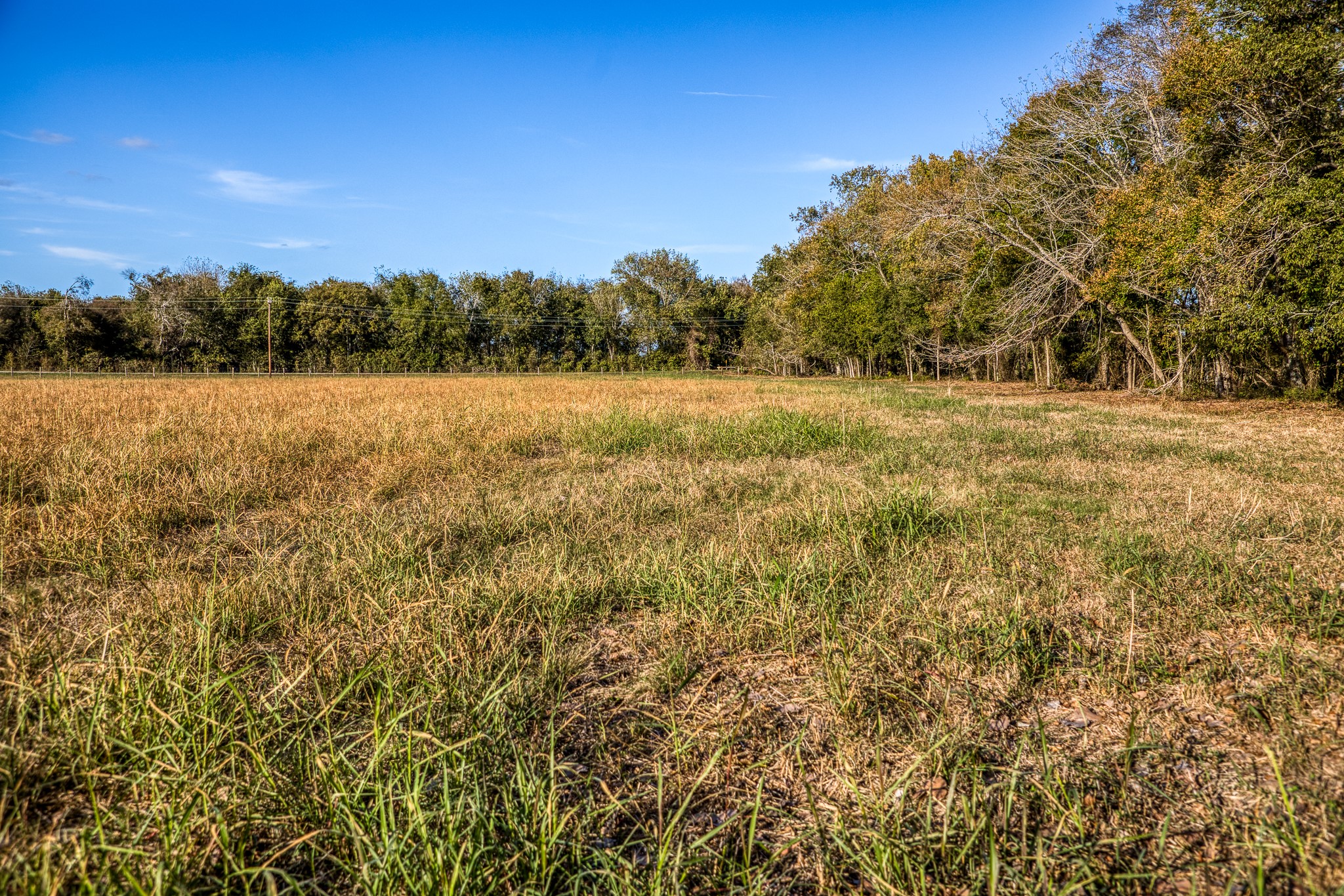 Lot 1 Sandy Hill Road Brenham, TX 77833 - Photo 9 of 17 a view of outdoor space and a yard