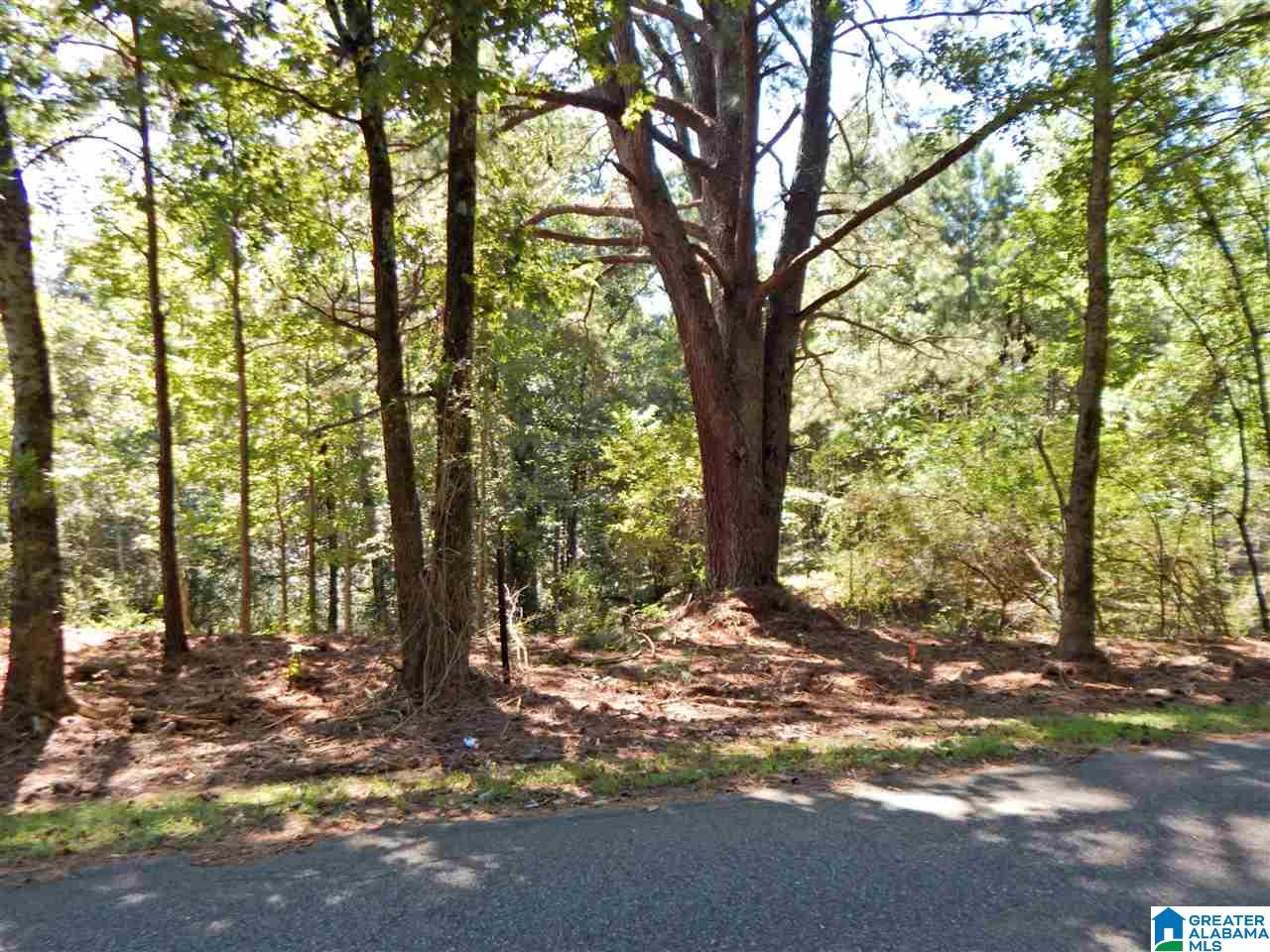 429 Beasley Road, Unit 1 Gardendale, AL 35071 - Photo 3 of 4
