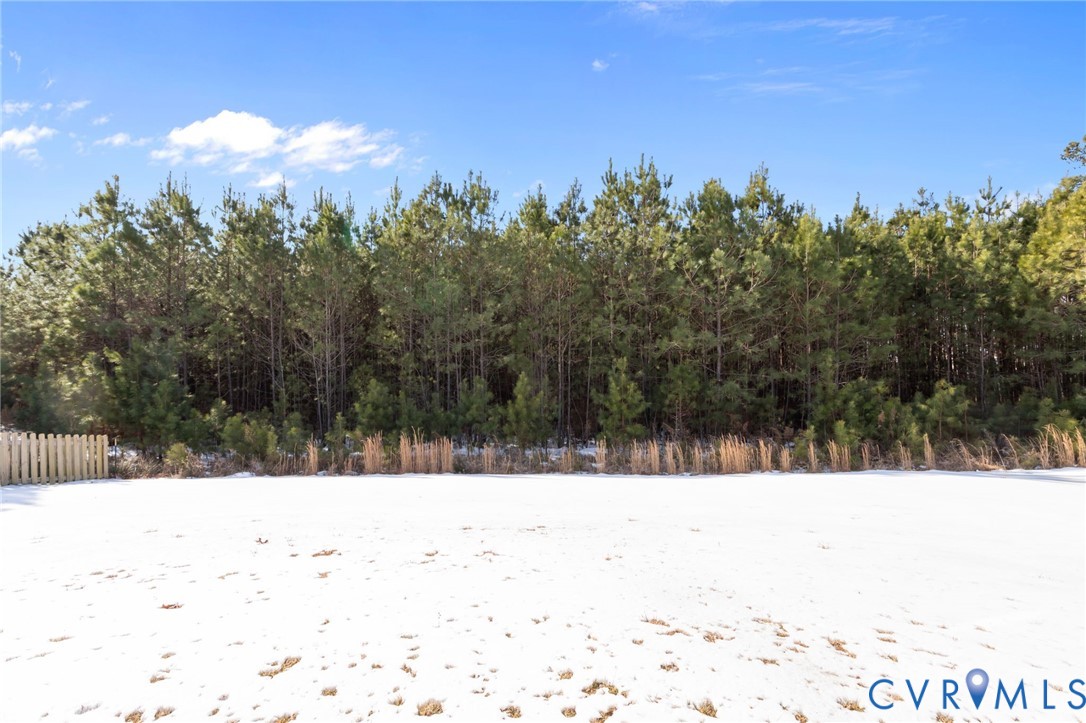 5466 Niles Road Richmond, VA 23234 - Photo 34 of 40