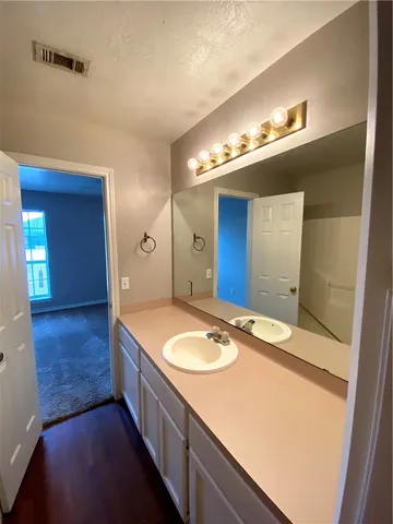 a bathroom with a sink a vanity and mirror