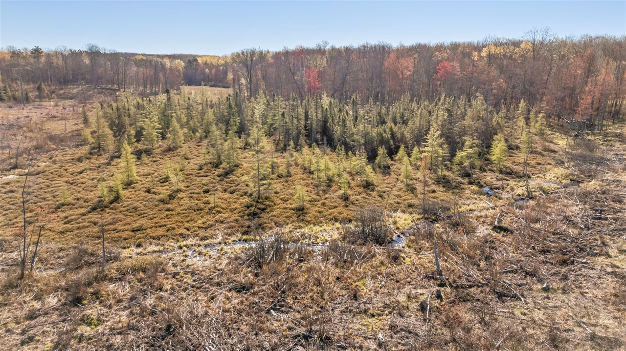16107 12 Mile Road Leroy, MI 49655 - Photo 24 of 40 Gallery Image 24