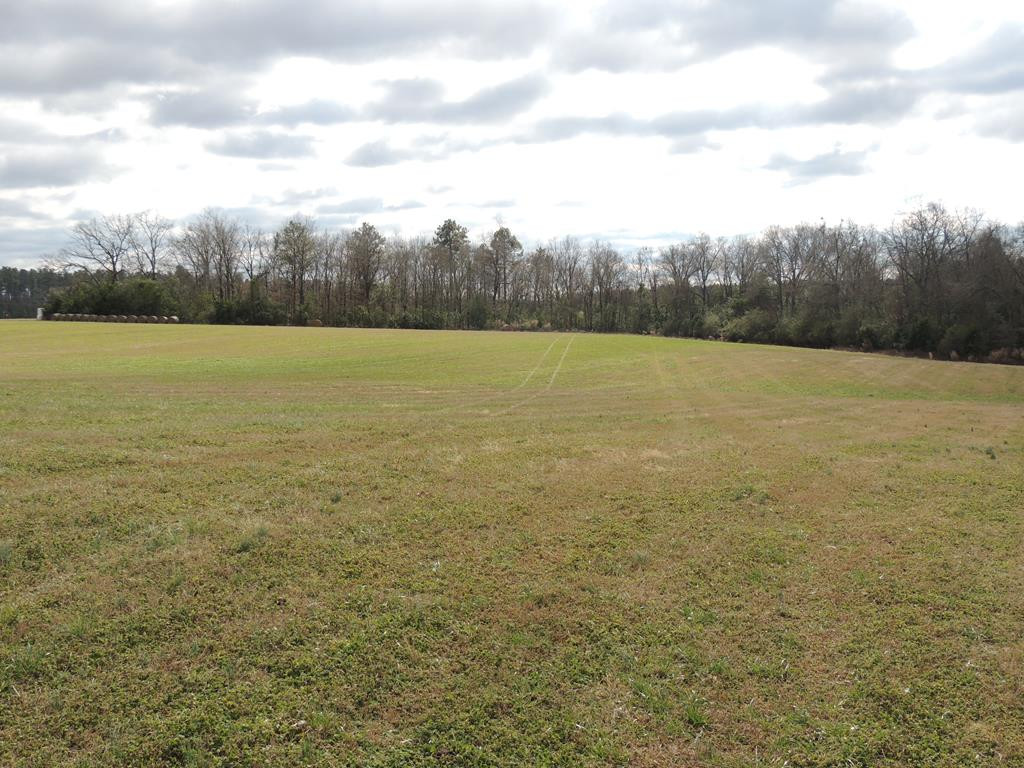 0 Finch Road Wagener, SC 29164 - Photo 1 of 1