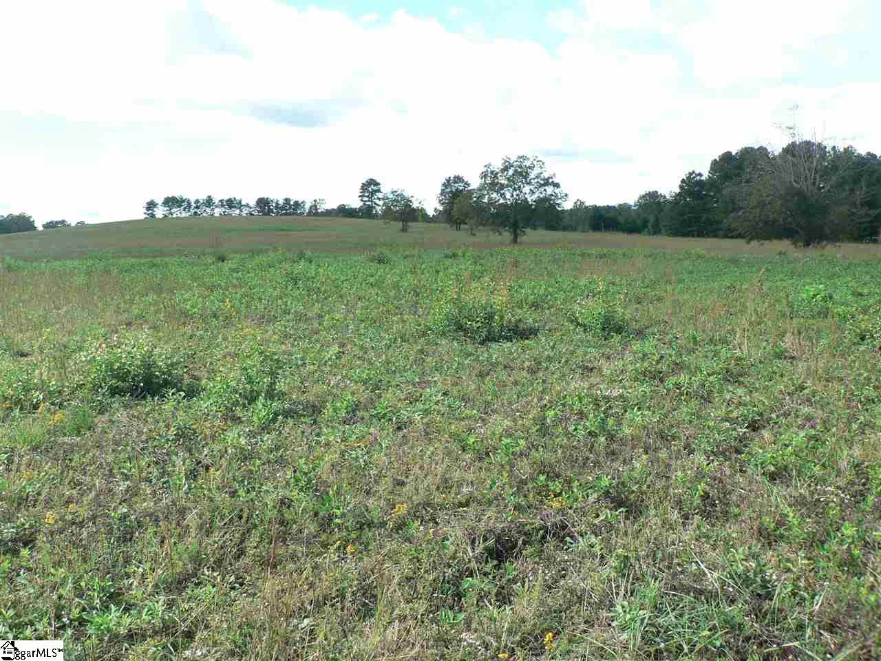 0 Thomas Mill Road, Unit LOT 4 Easley, SC 29640 - Photo 1 of 5
