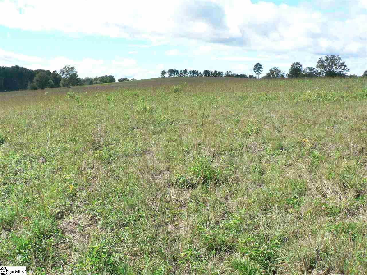 0 Thomas Mill Road, Unit LOT 4 Easley, SC 29640 - Photo 5 of 5