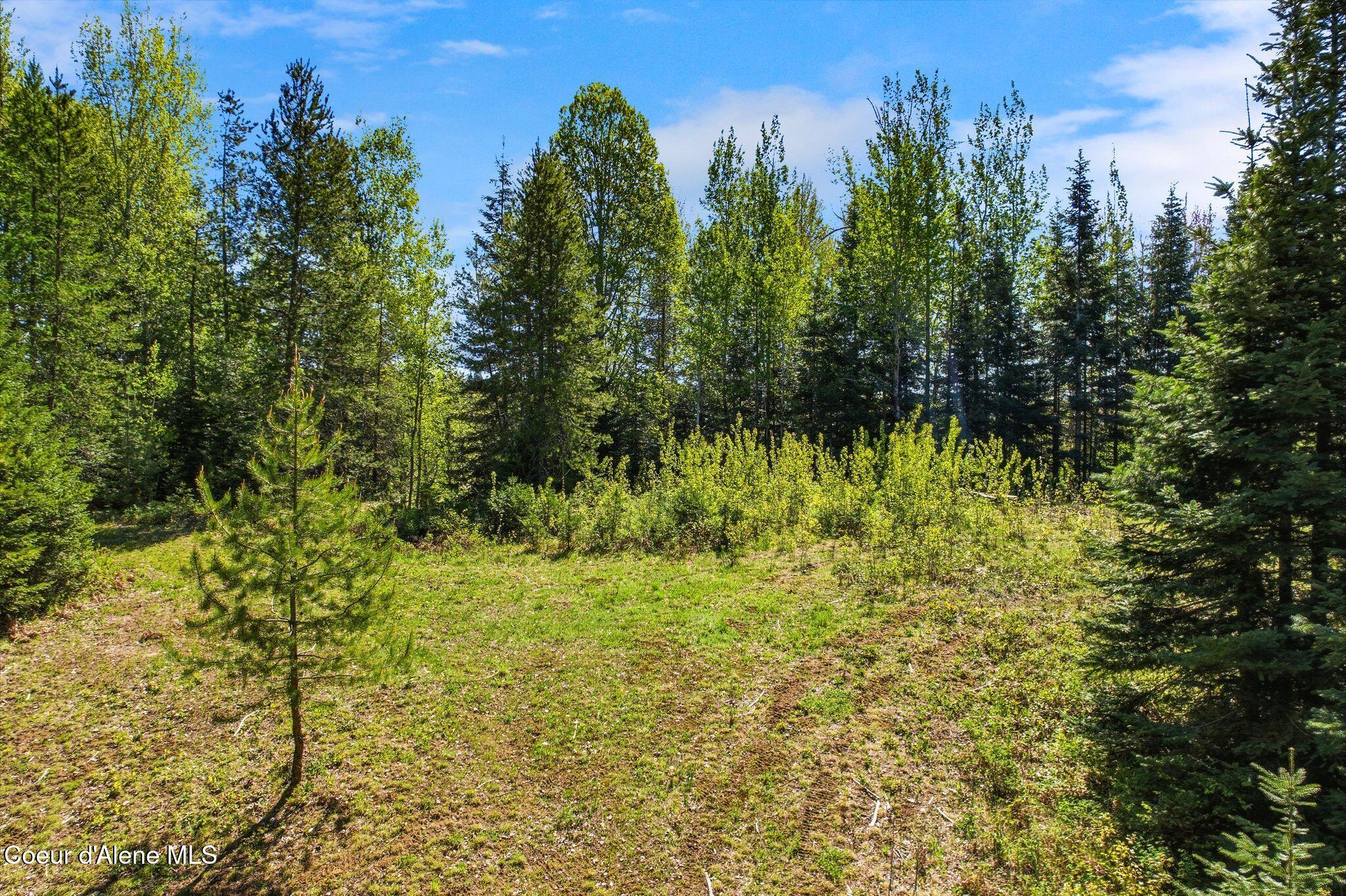 Whitetail Farm Lane Sandpoint, ID 83864 - Photo 8 of 10 12_DJI_0556
