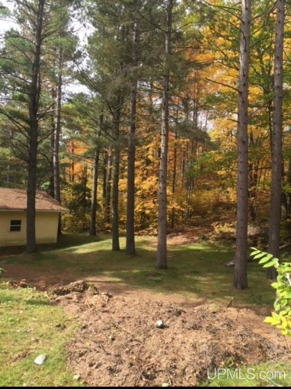 5365 Floodwood Road Republic, MI 49879 - Photo 47 of 53