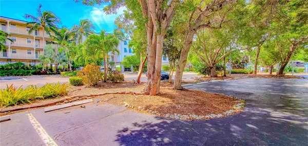 a view of a park with tree s