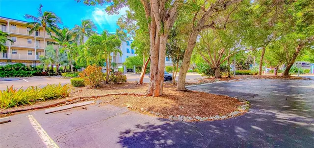 a view of a park with tree s