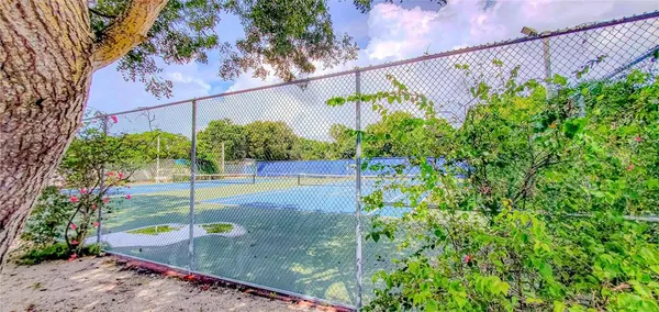 a view of a plants with a tree in front of it