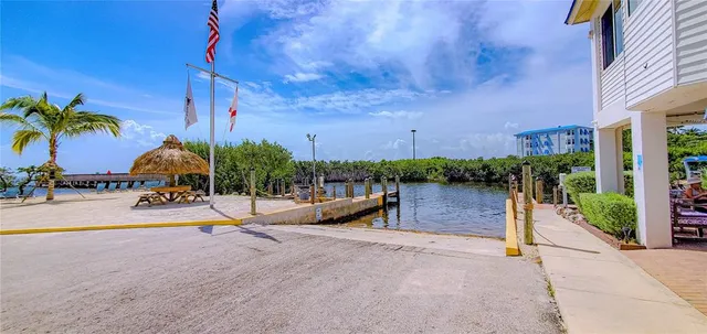 a view of a park with palm trees