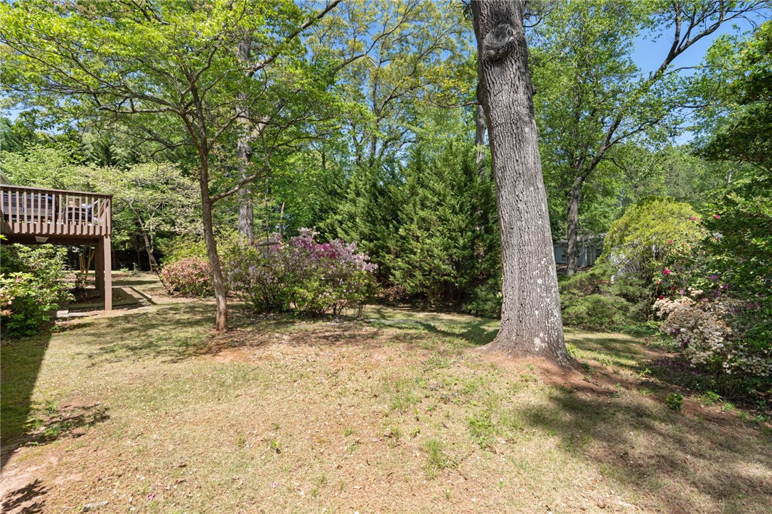 209 Manley Drive Clemson, SC 29631 - Photo 38 of 44 This tranquil yard features mature trees and vibrant foliage, creating a serene outdoor escape.