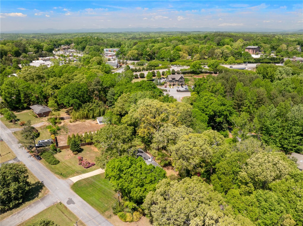 209 Manley Drive Clemson, SC 29631 - Photo 43 of 44 An aerial view captures the vibrant neighborhood, enveloped by a lush, green landscape.