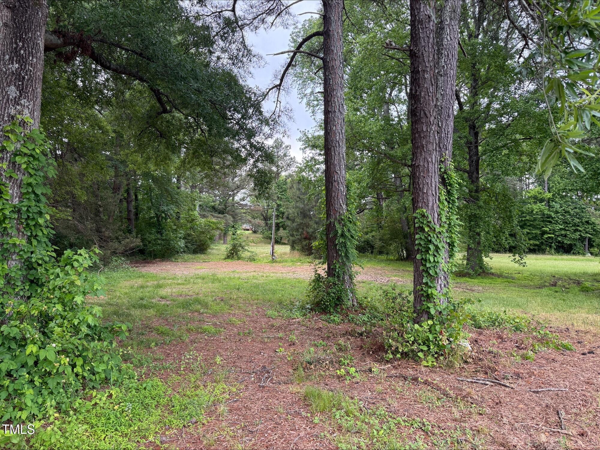 63 Mount Olivet Church Road Franklinton, NC 27525 - Photo 5 of 12 processed-6A80997B-F1BD-47BA-A468-02166A