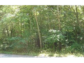 N/a Viking Ridge Road Bloomington, IN 47408 - Photo 2 of 4 Gallery Image 2