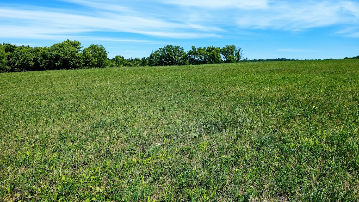 407 23rd Street Chetek, WI 54728 - Photo 56 of 60
