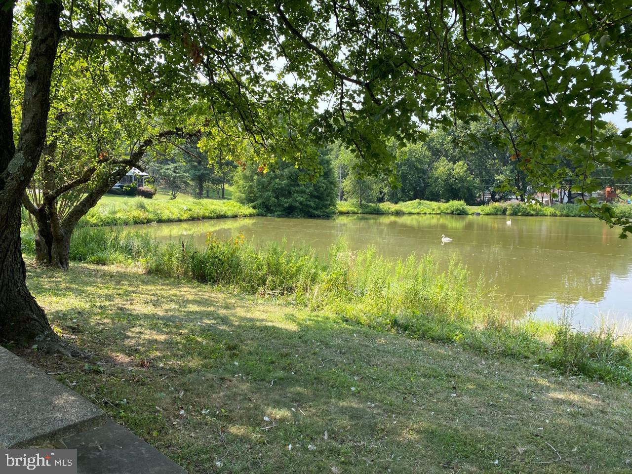 5082 Durham Road West Columbia, MD 21044 - Photo 49 of 58 Bass Lake in Beaverbrook