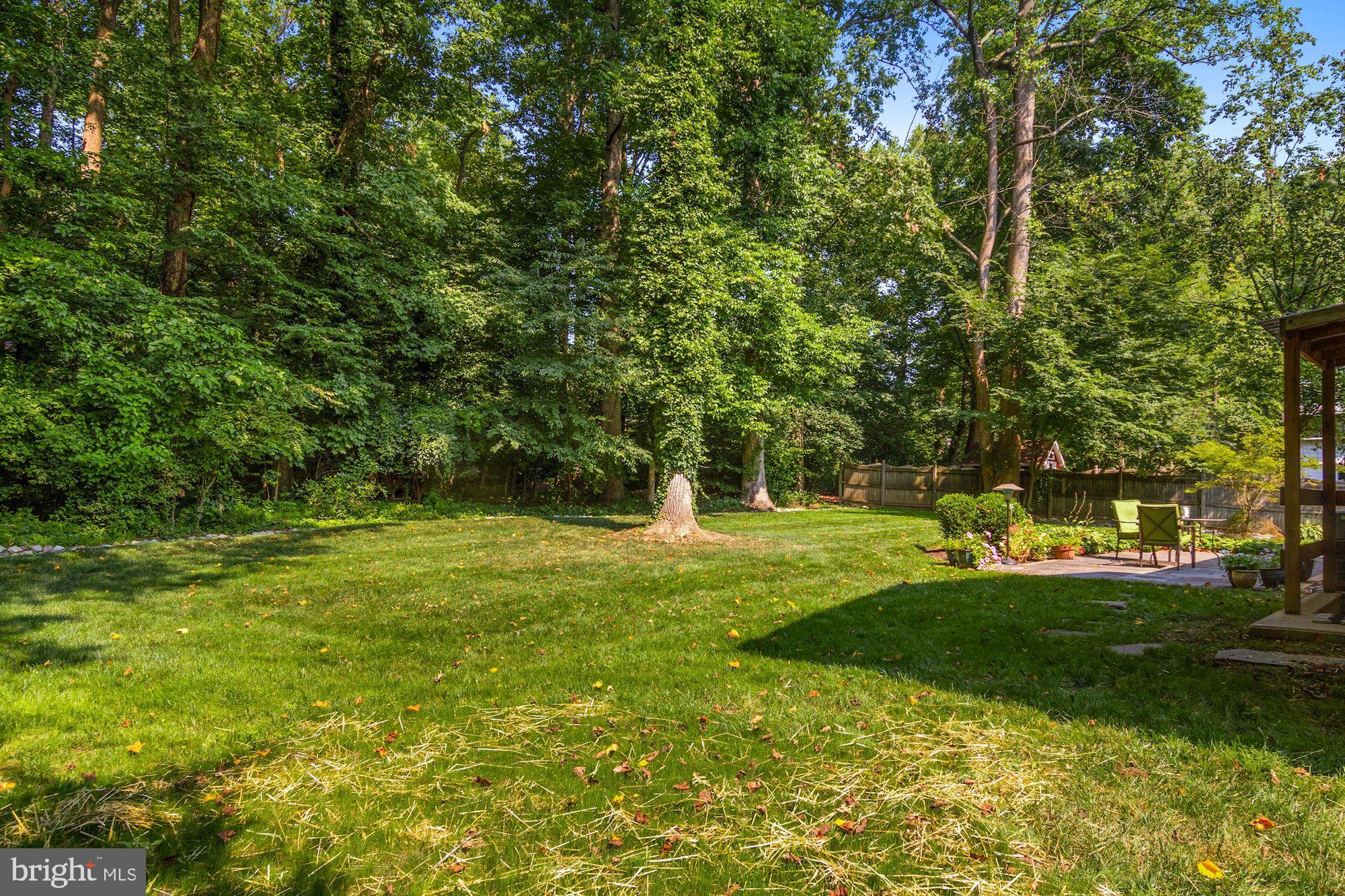 5082 Durham Road West Columbia, MD 21044 - Photo 6 of 58 Level backyard backing to trees