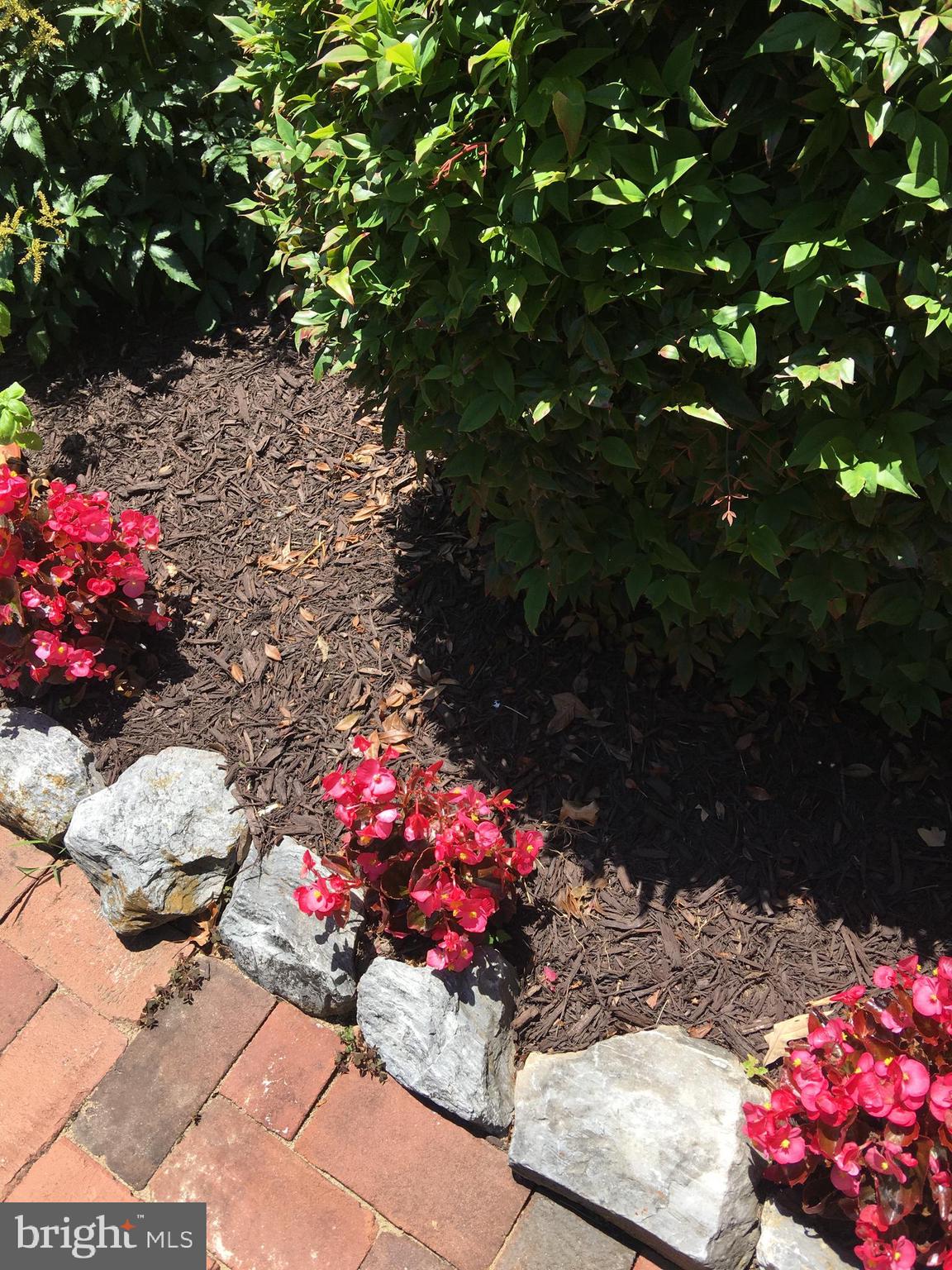 5082 Durham Road West Columbia, MD 21044 - Photo 58 of 58 Garden details